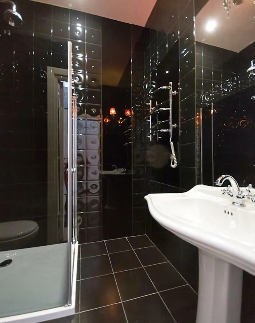 קייב Partner Guest House Velyka Vasylkivska 0*,